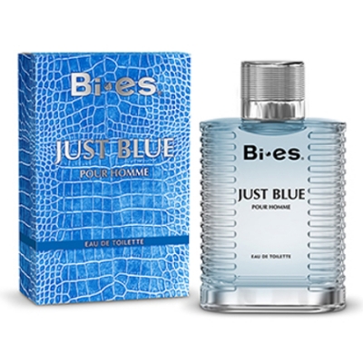 Bi-Es Just Blue Homme - Eau de Toilette for Men 100 ml