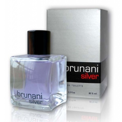 Cote Azur Brunani Silver - Eau de Toilette for Men 100 ml
