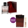 Chatler Phobia Men 100 ml + Perfume Sample Spray Calvin Klein Euphoria Men