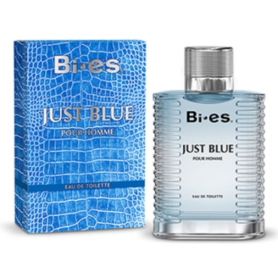 Bi-Es Just Blue Homme - Eau de Toilette for Men 100 ml