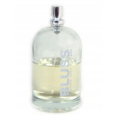 Chatler Bluss Grey - Eau de Parfum for Men, tester 40 ml